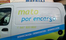 Haga click para ver la imagen ampliada mato por encargo.jpg